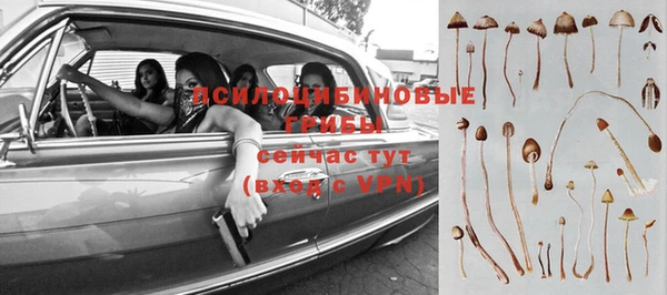 2c-b Лабытнанги