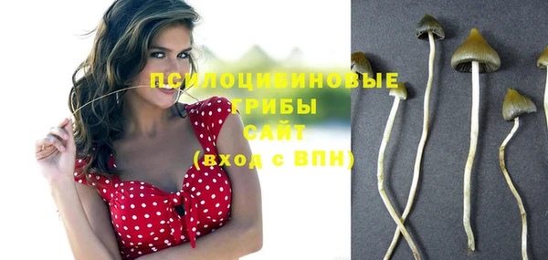 винт Абинск