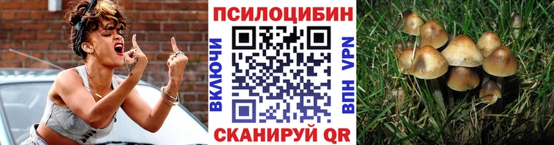 даркнет сайт  OMG ссылки  Псилоцибиновые грибы Magic Shrooms  Ялуторовск 