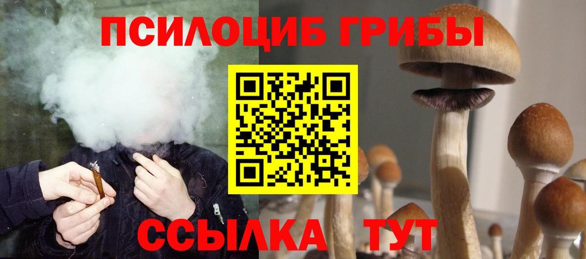 Галлюциногенные грибы MAGIC MUSHROOMS  Вход с VPN  Ялуторовск 